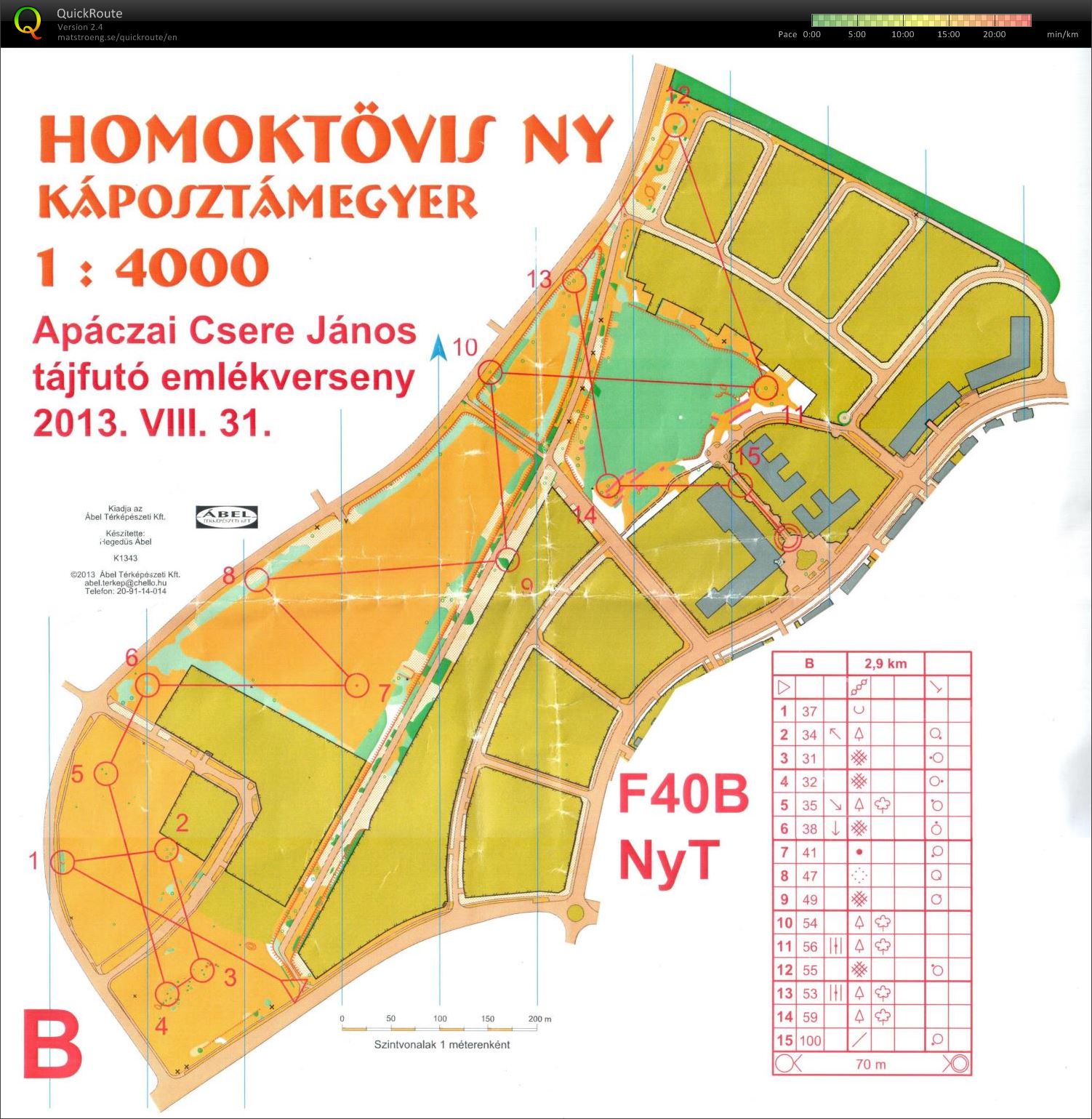 Apáczai emlékverseny (egyéni) (31/08/2013)