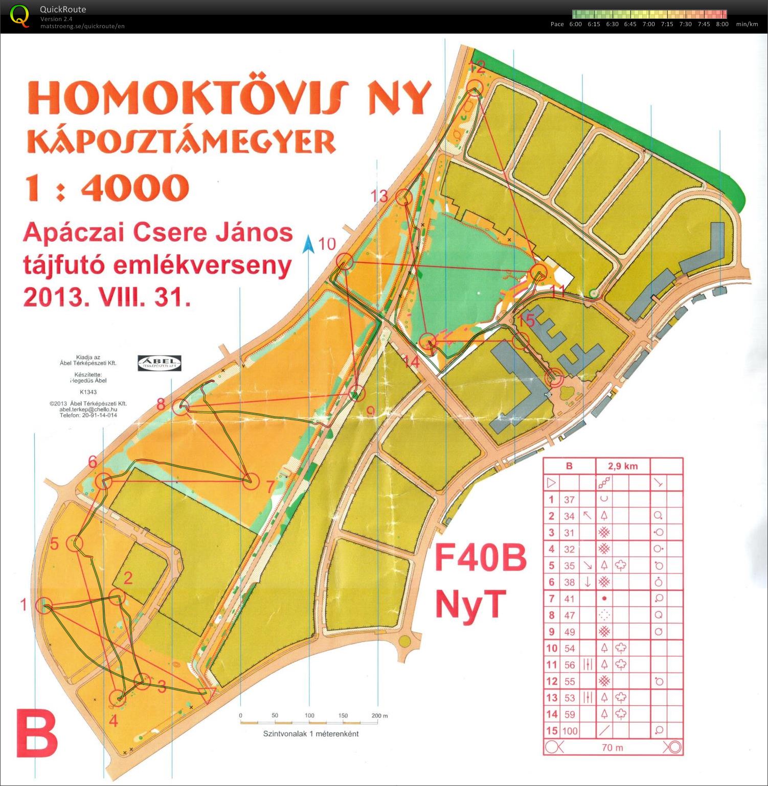 Apáczai emlékverseny (egyéni) (31/08/2013)