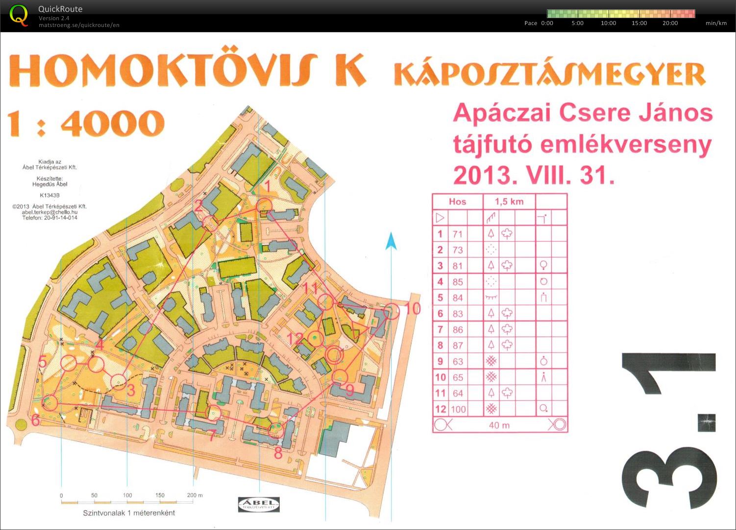Apáczai emlékverseny (váltó 1) (31/08/2013)