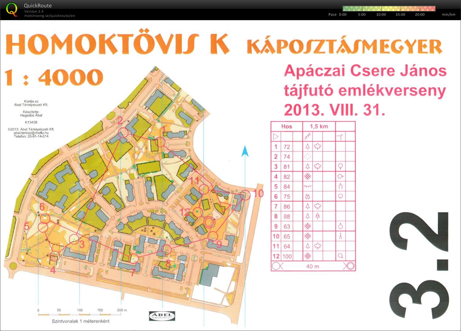 Apáczai emlékverseny (váltó 2) (31-08-2013)
