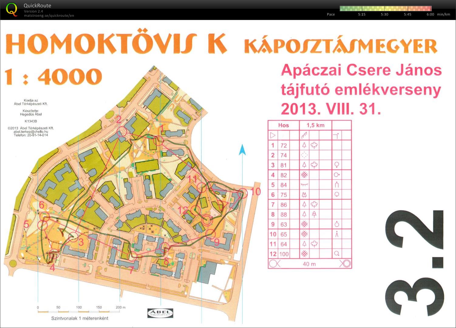 Apáczai emlékverseny (váltó 2) (31-08-2013)