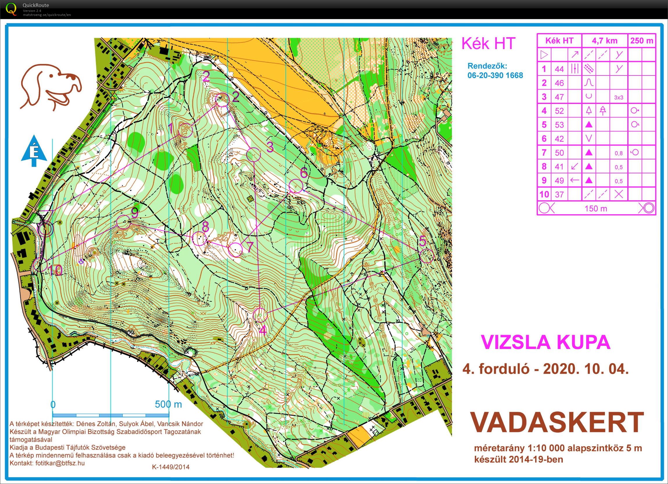 Vizsla kupa (kék) (04/10/2020)