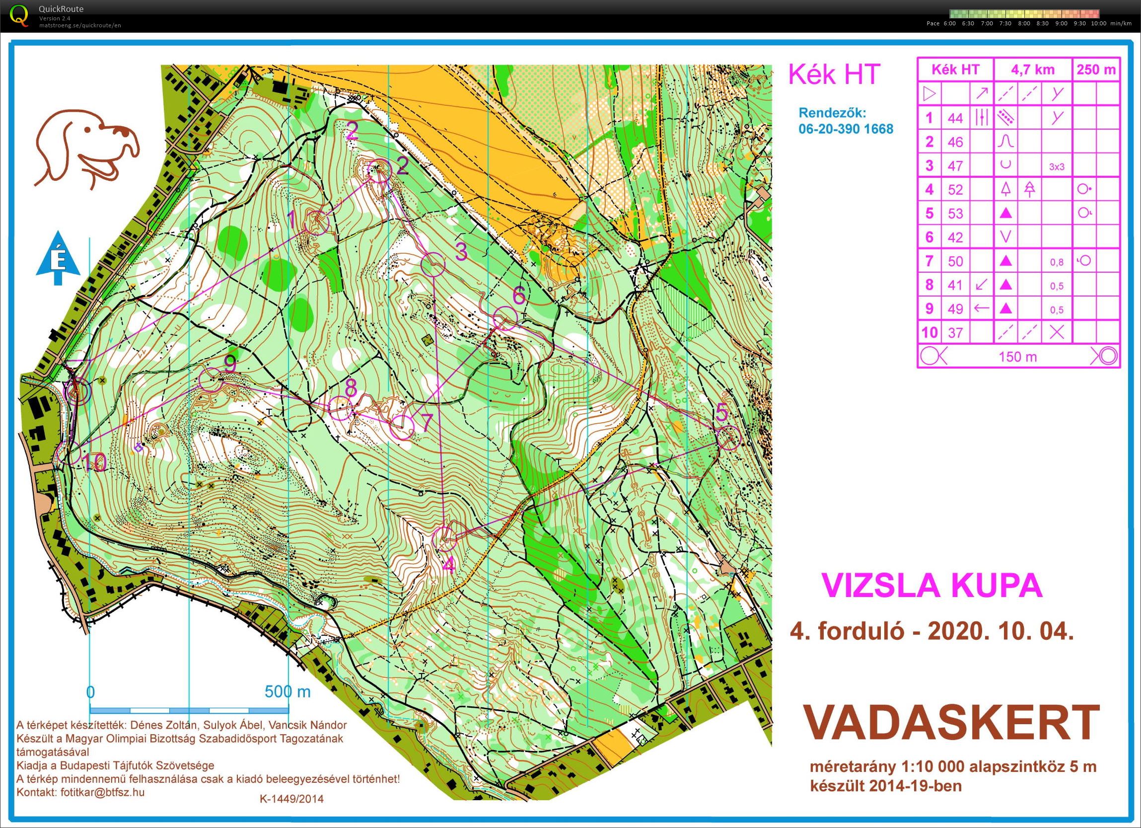 Vizsla kupa (kék) (04/10/2020)
