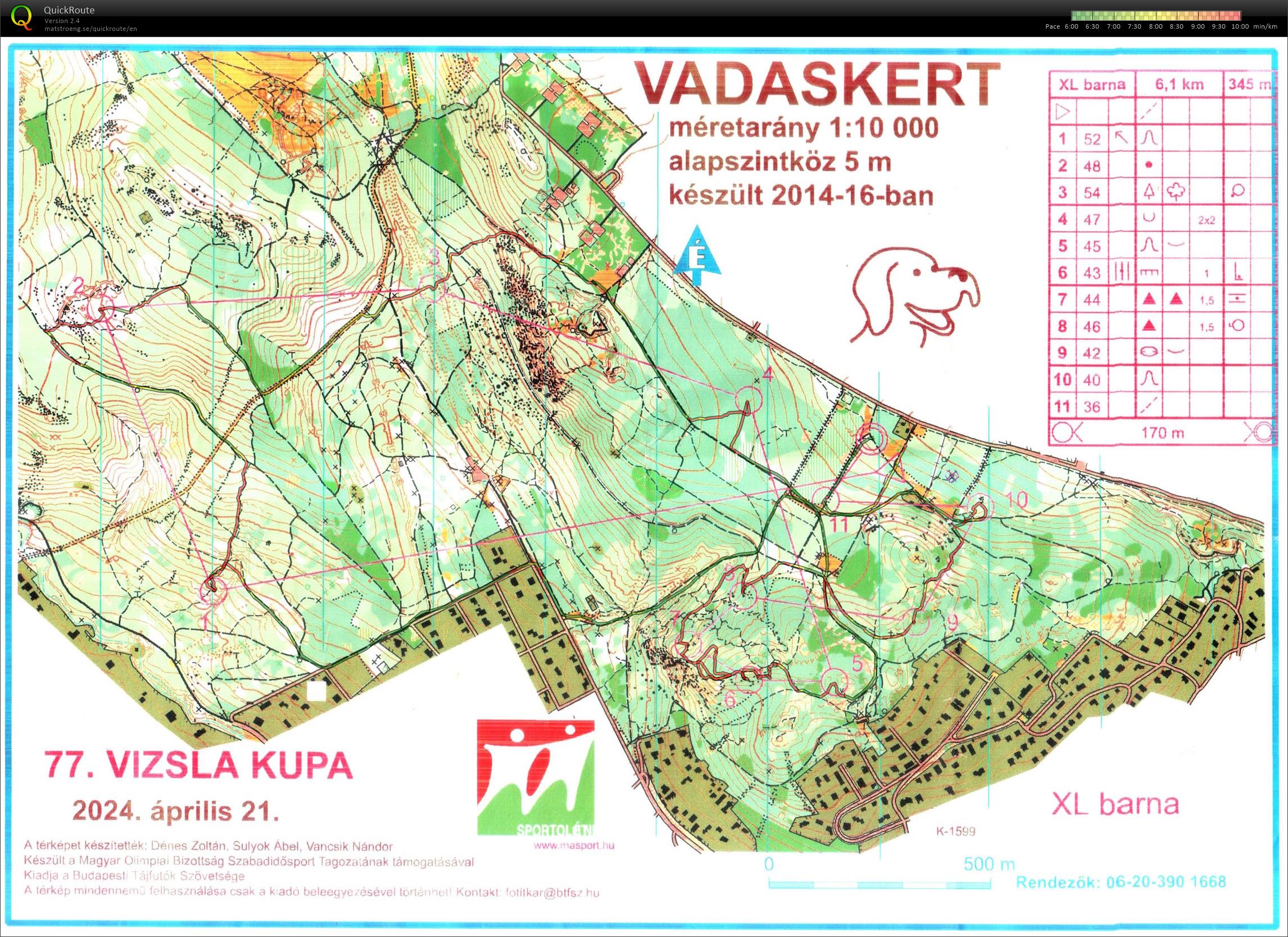 Vizsla kupa #2 (21/04/2024)