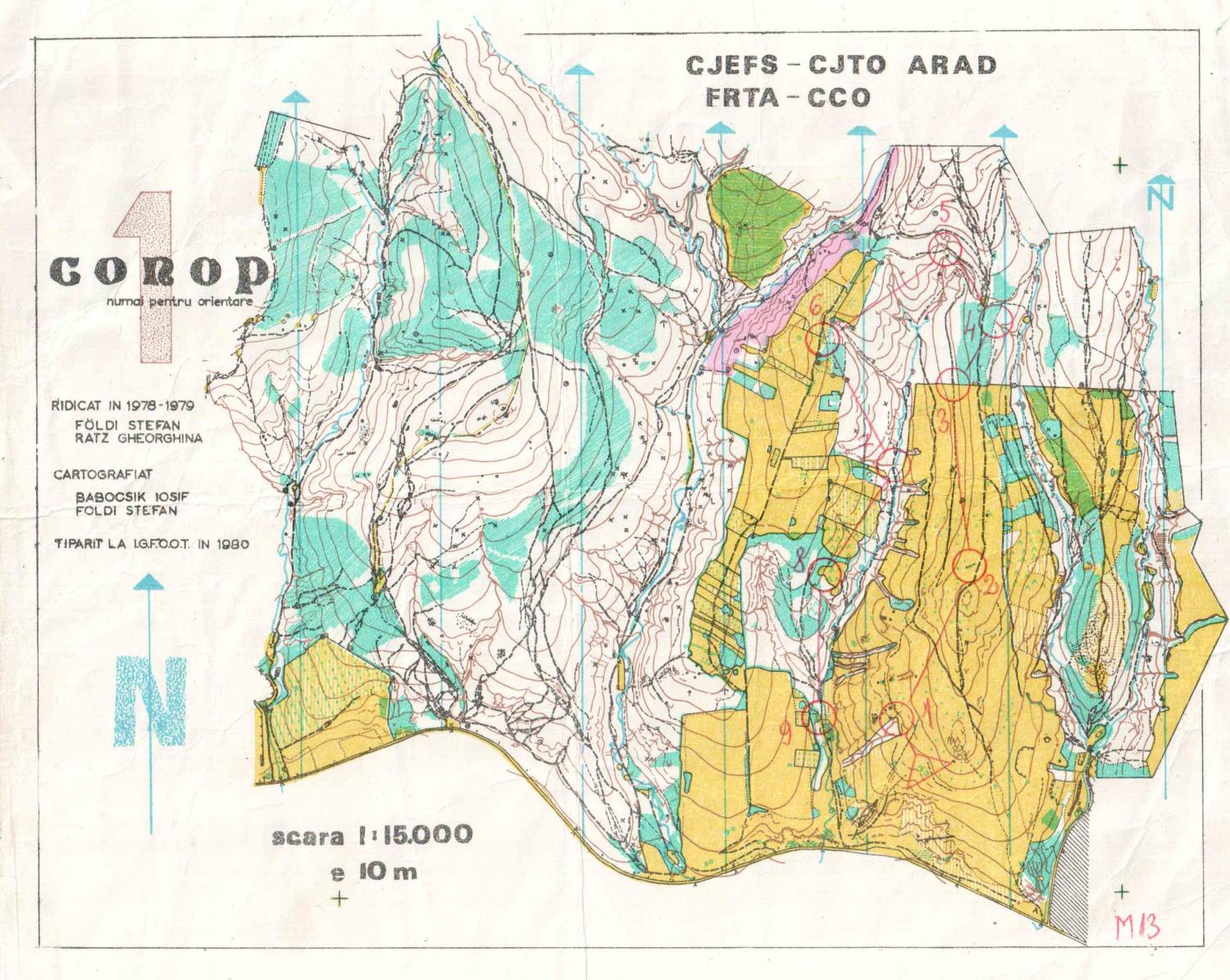 Cupa Zarandului (13/07/1984)