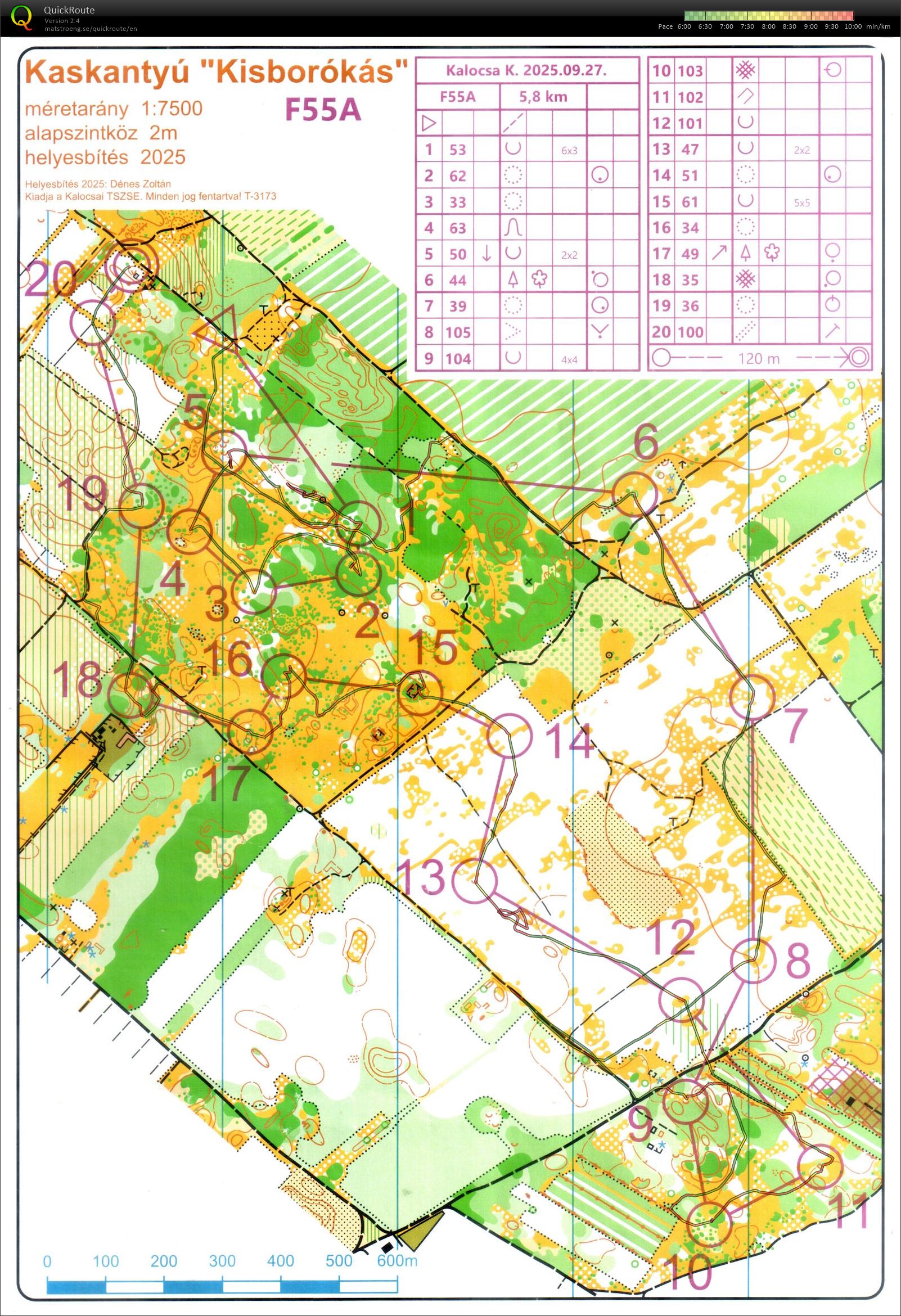 Kalocsa kupa #2 (28/09/2025)